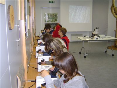 skola 161
