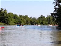Splav Malého Dunaja